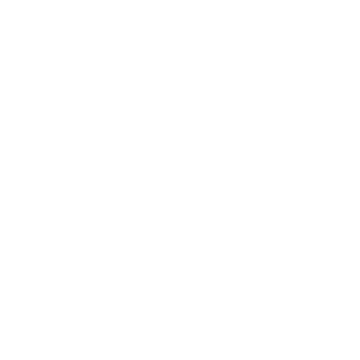 CSS